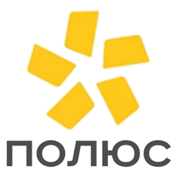 Полюс
